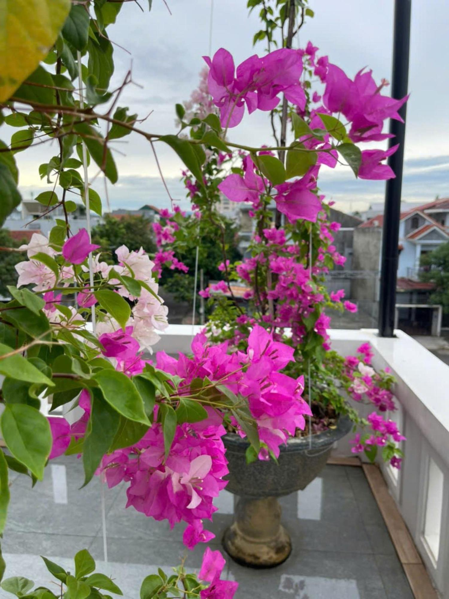 Nhat Long Homestay Hue Exterior foto